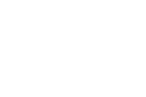 puma logo transparent
